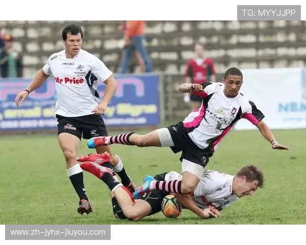 柏林赫塔BSC球队德甲表现回顾